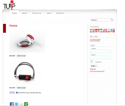 WordPress Theme