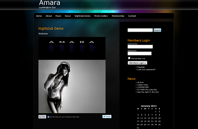WordPress Theme